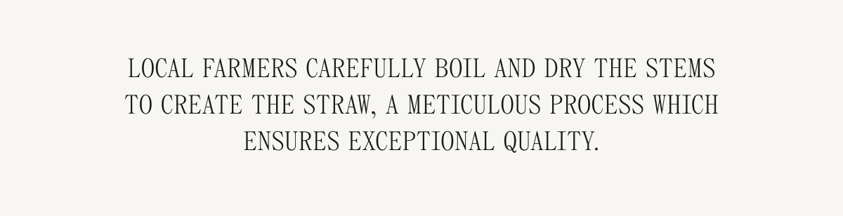 Local farmers carefully boil and dry the stems to create the straw, a meticulous process which ensures exceptional quality.