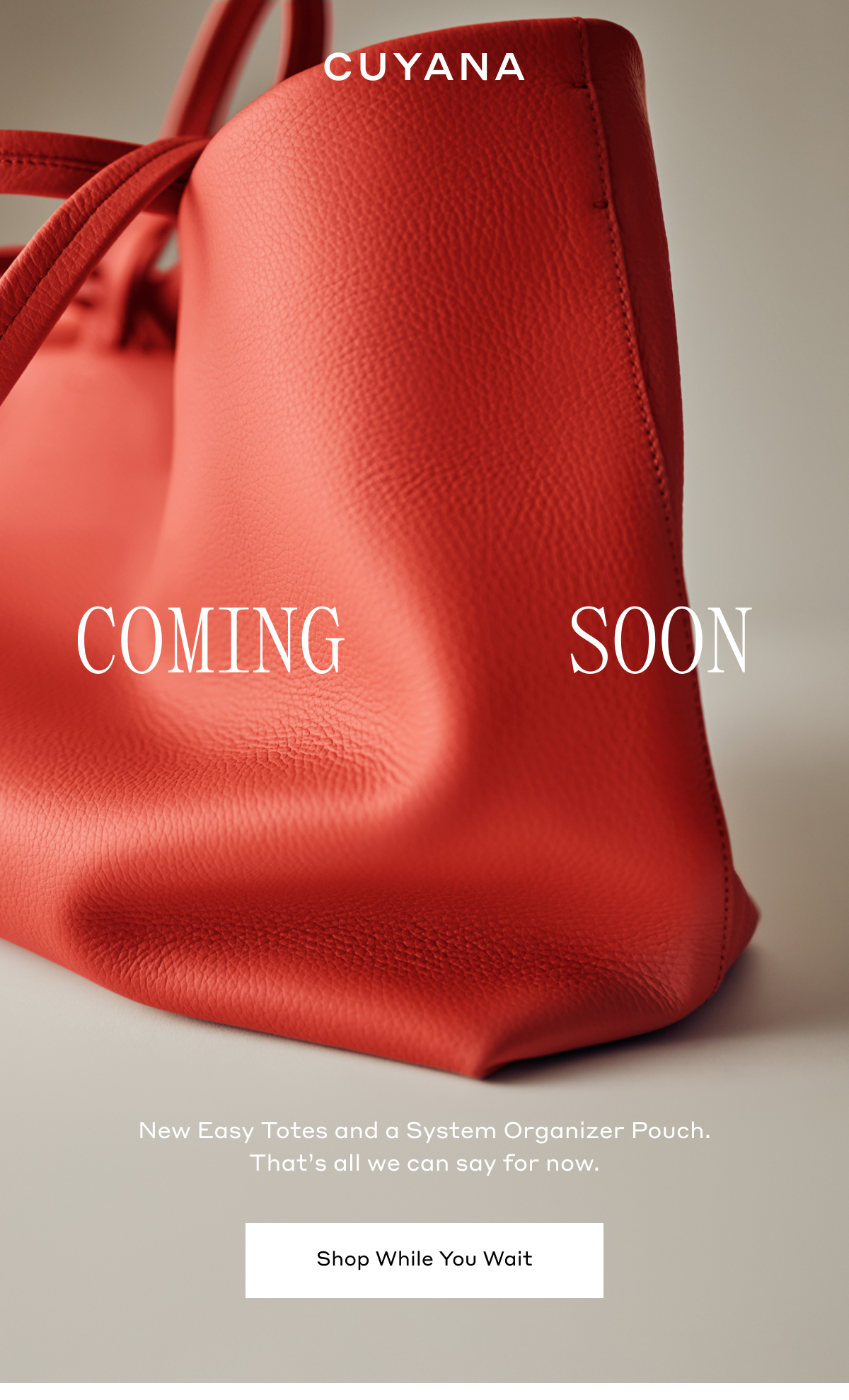CUYANA COMING SOON New Easy Totes and System Organizer Pouch. That's all we can say for now. Shop While You Wait.