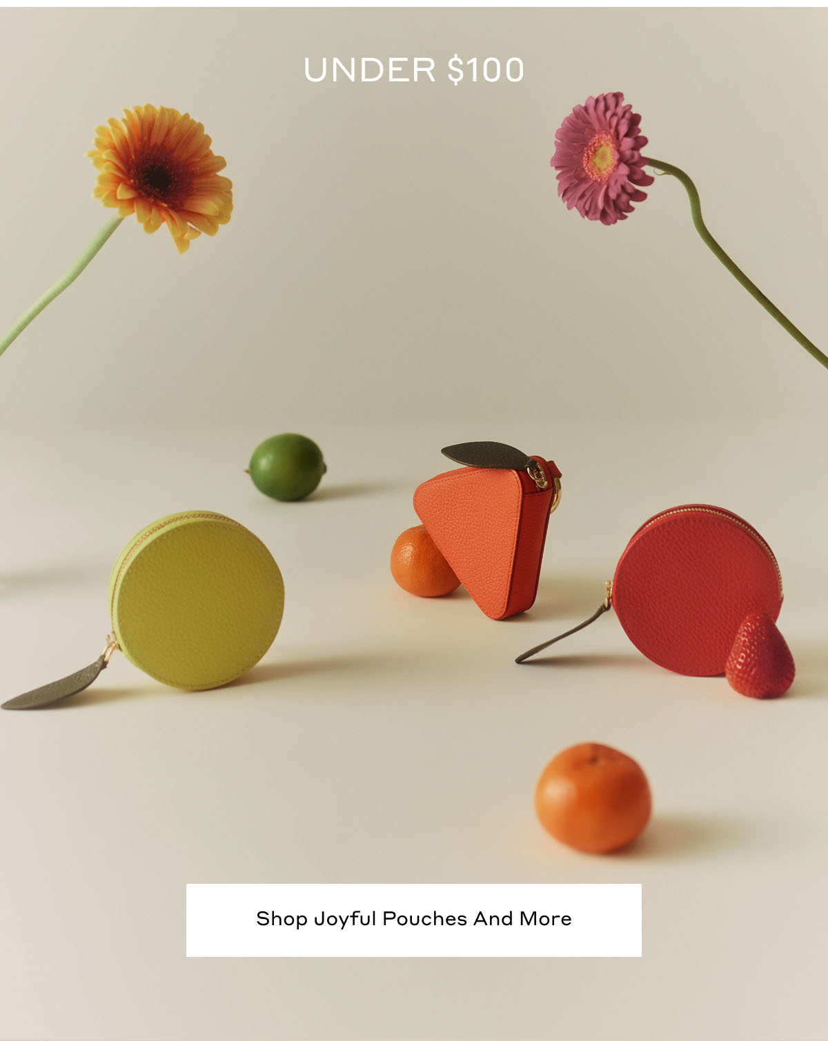 UNDER $100 Shop Joyful Pouches And More