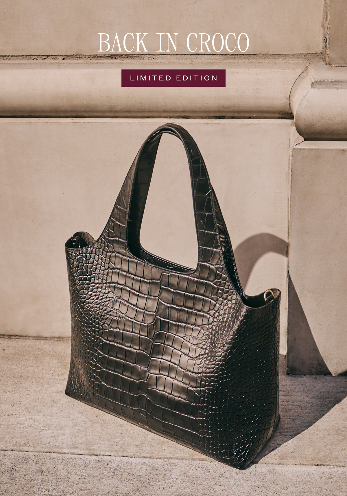 BACK IN CROCO LIMITED EDITION