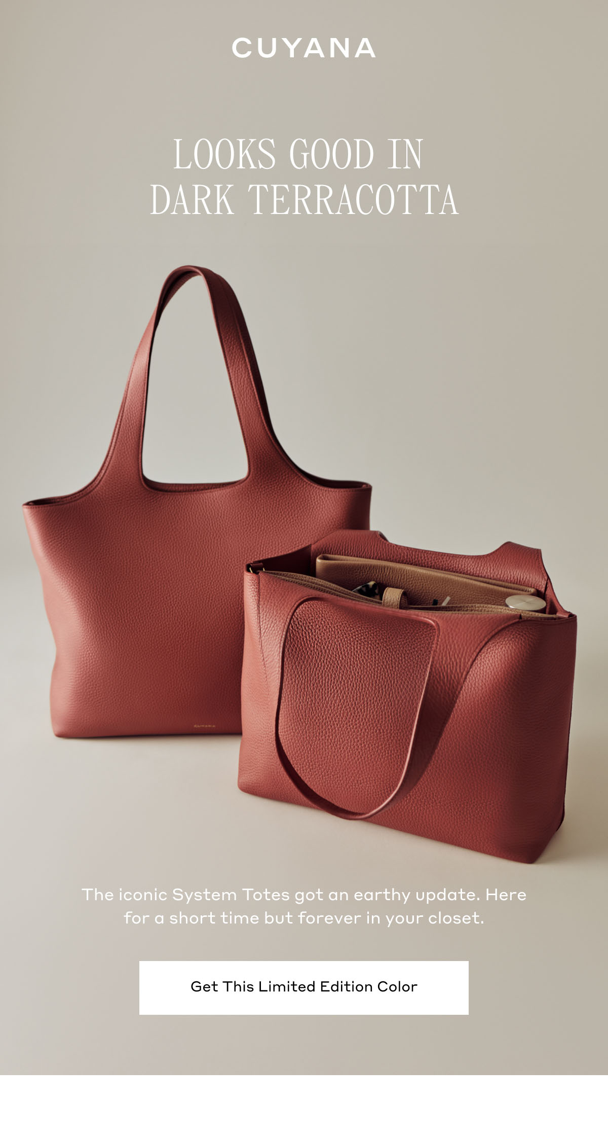 CUYANA LOOKS GOOD IN DARK TERRACOTTA The iconic System Totes got an earthy update. Here for a short time but forever in your closet. Get This Limited Edition Color