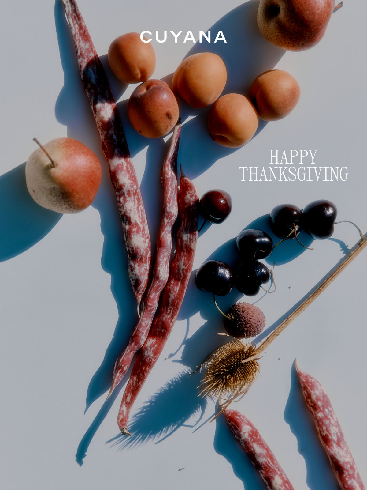 CUYANA HAPPY THANKSGIVING