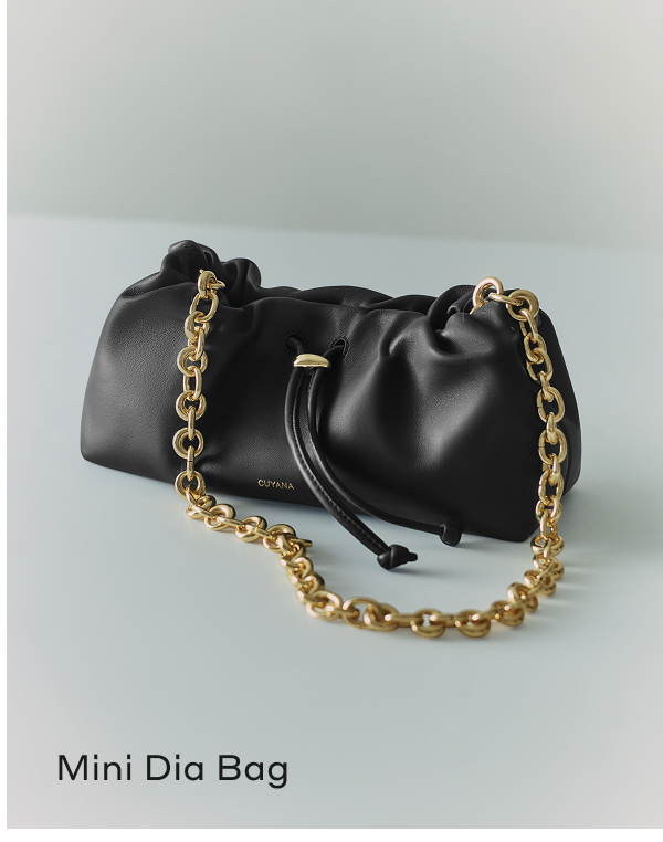 Mini Dia Bag