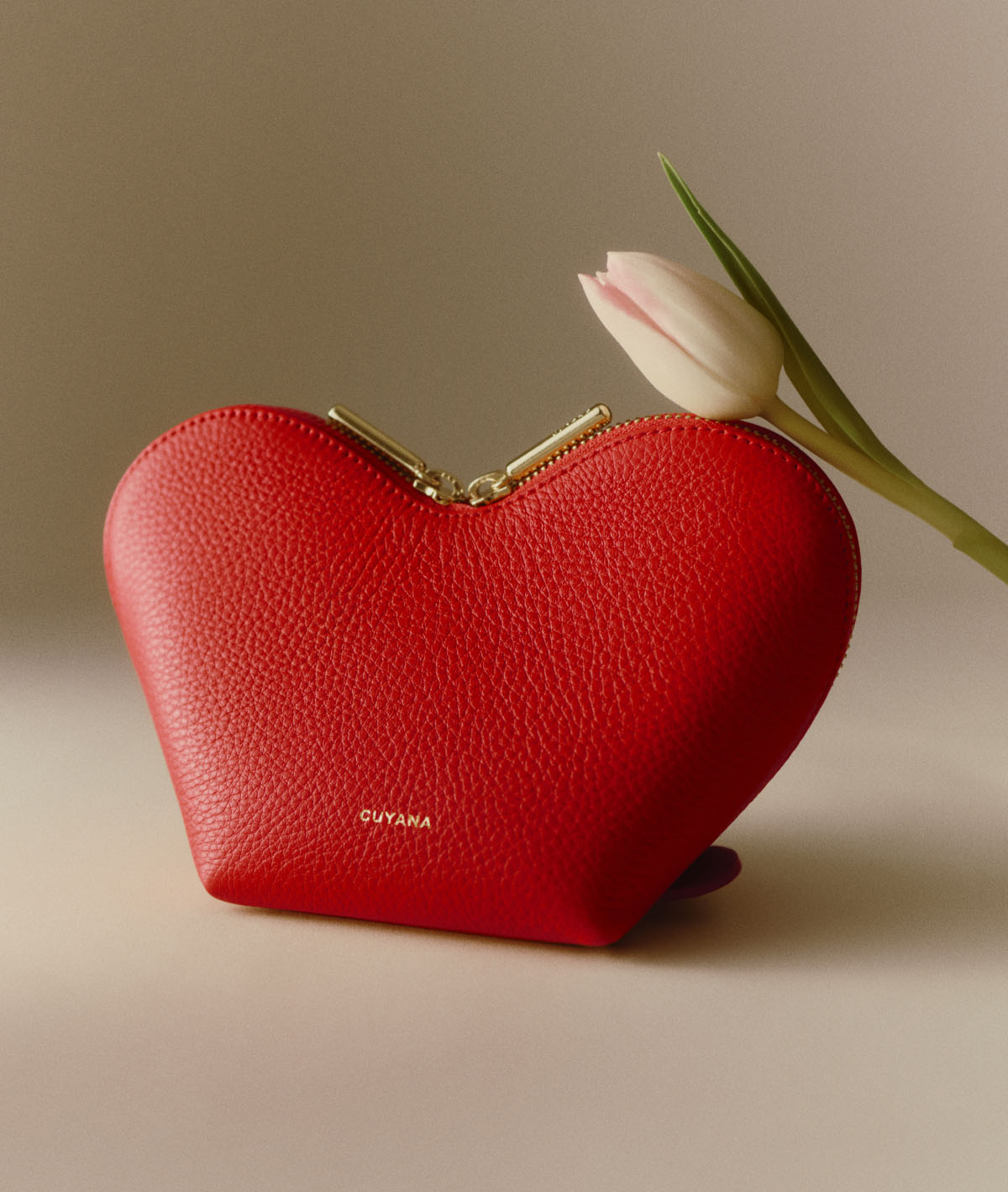 Mini Heart Case Red