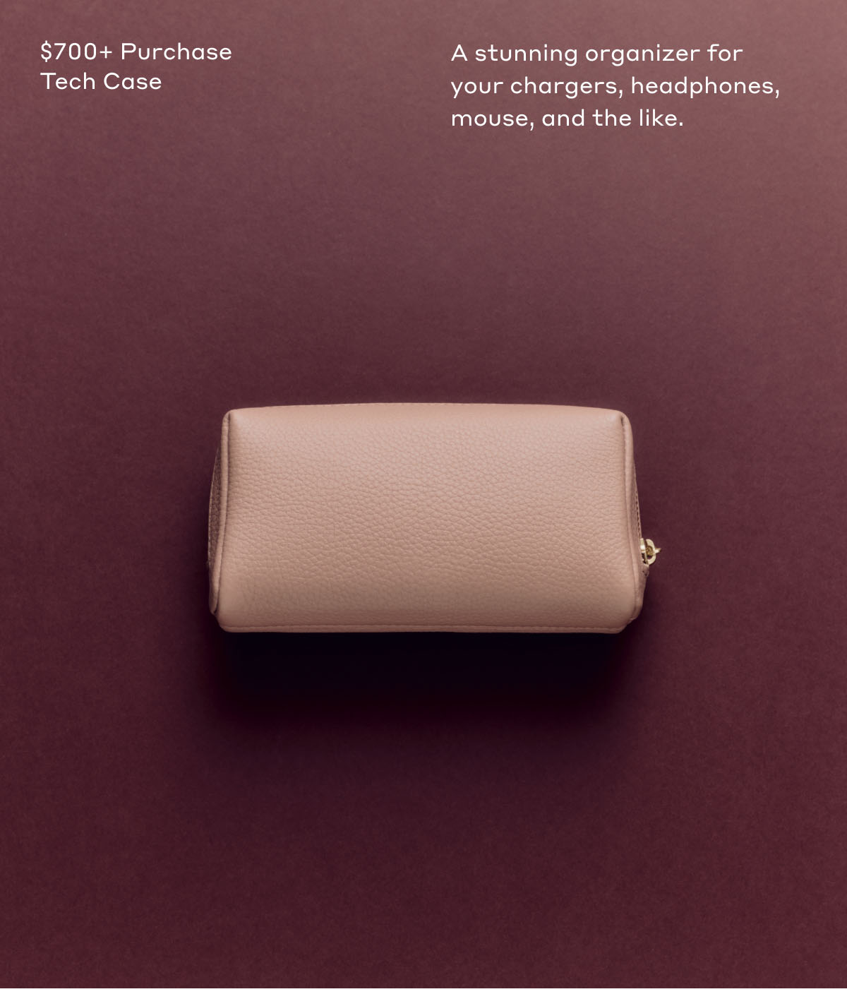 $700+ Purchase Tech Case A stunning organizer for your chargers, headphones, mouse, and the like.