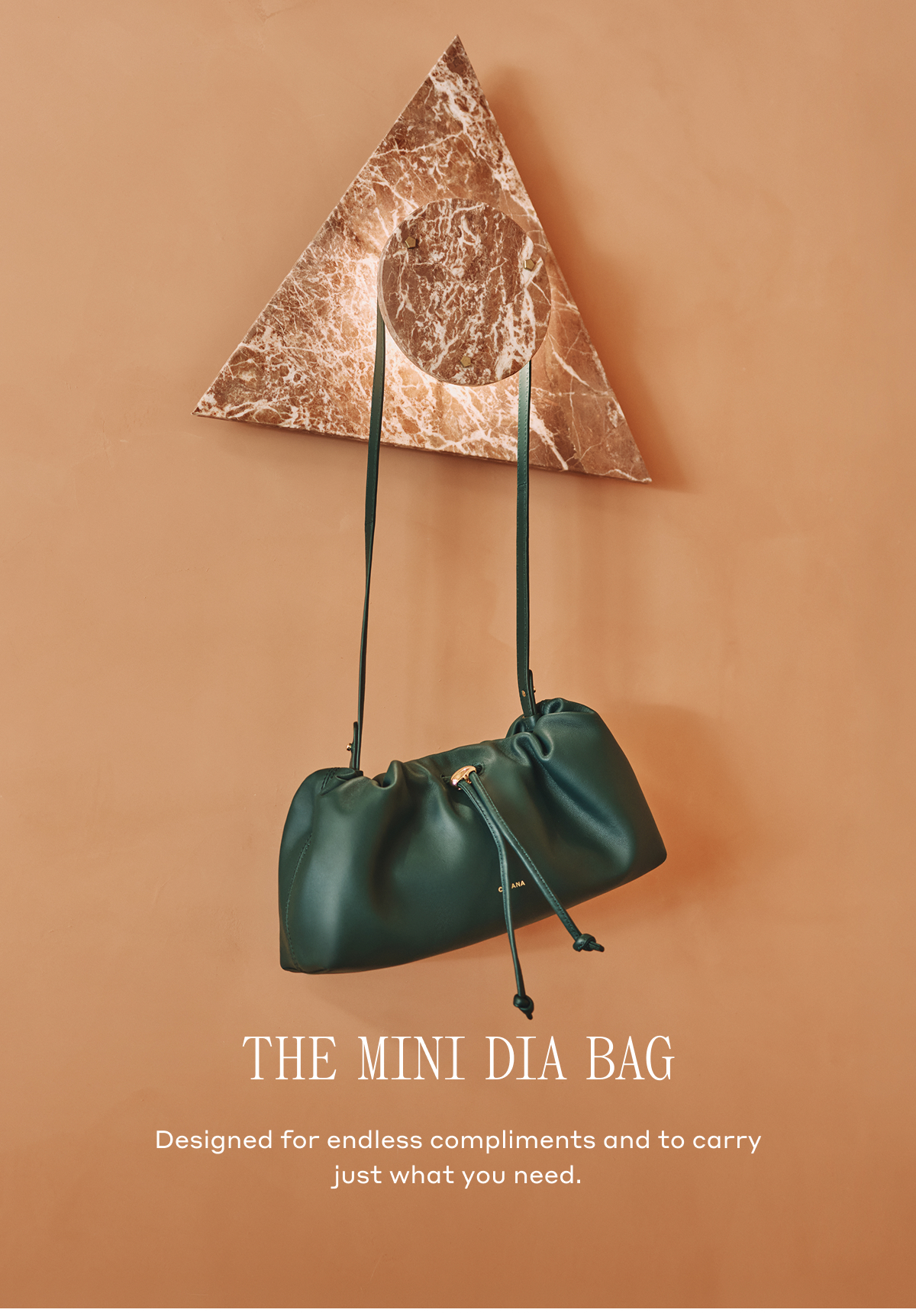 THE MINI DIA BAG Designed for endless compliments and to carry just what you need.