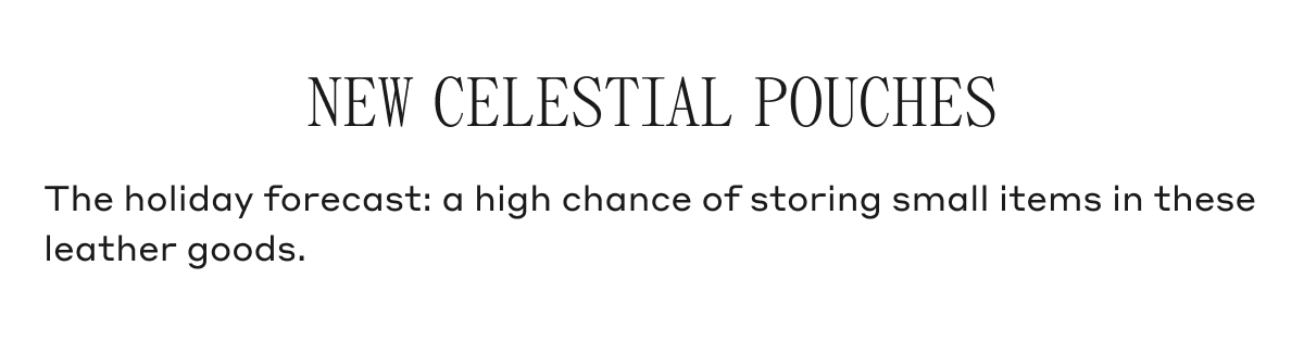 New Celestial Pouches The holiday forecast: a high chance of storing small items in these leather goods.
