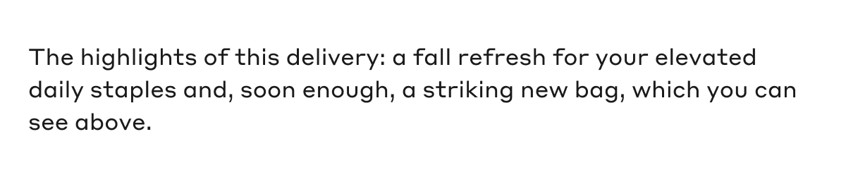 The highlights of this delivery: a fall refresh for your elevated daily staples and, soon enough, a striking new bag, which you can see above.