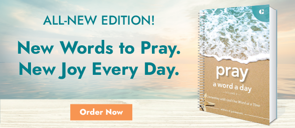 Pray A Word A Day Vol 2
