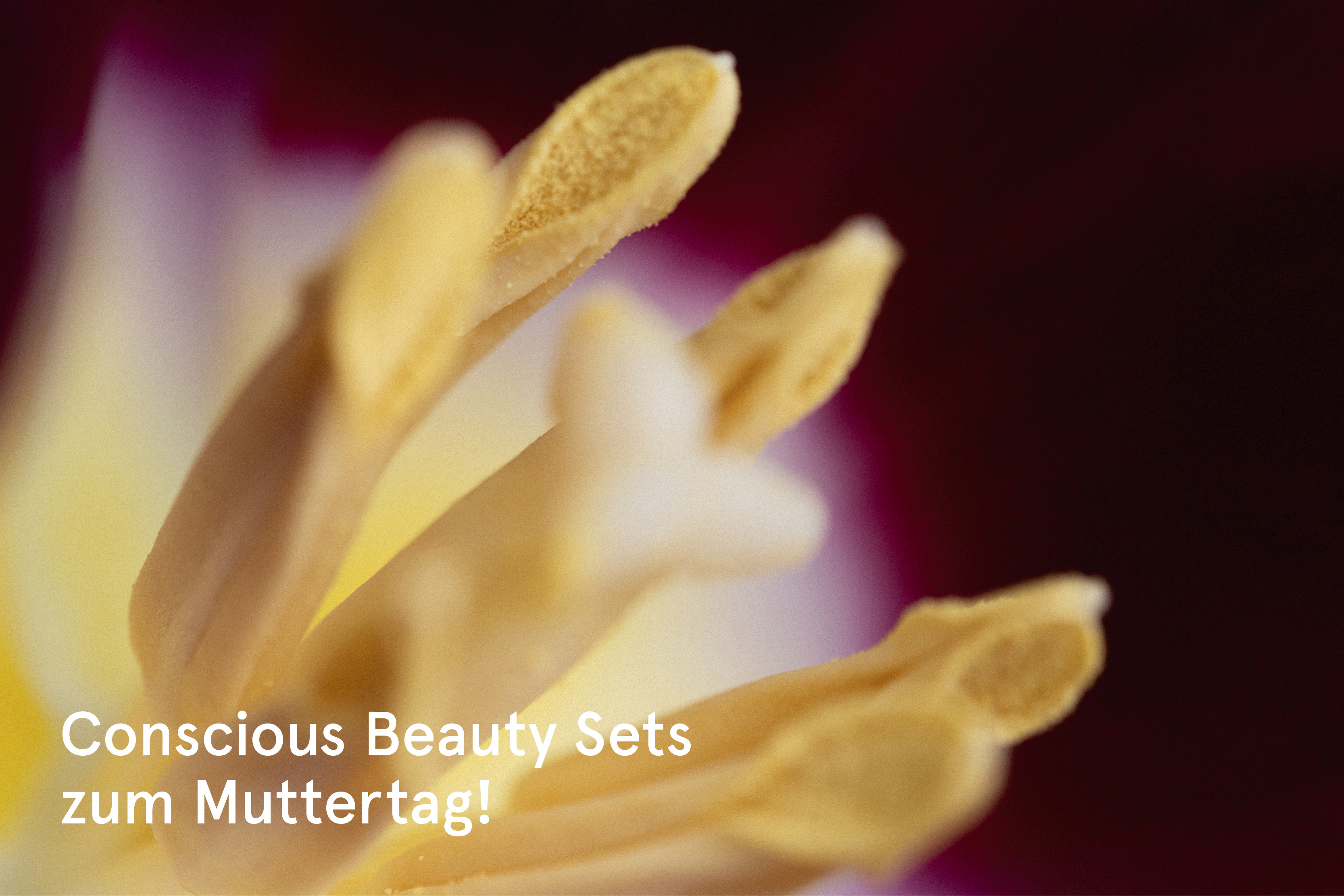 Conscious Beauty Sets