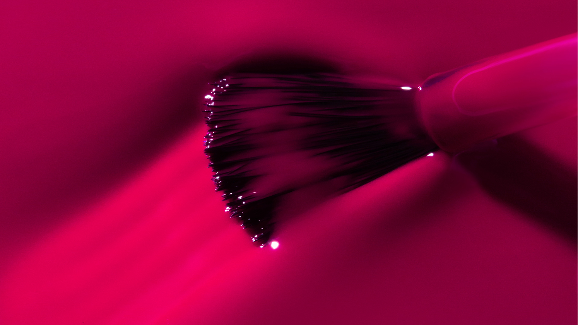 fd8f108f-c6c4-4550-86a7-31405cc899ab.jpeg