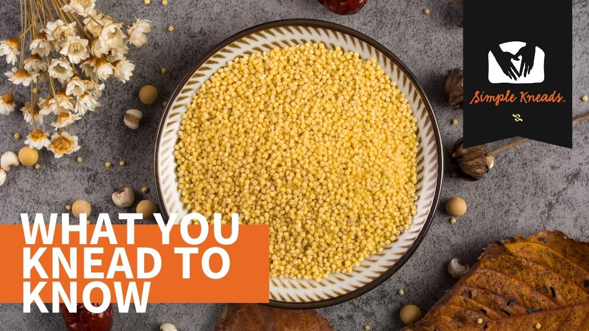 Millet One of the oldest cultivated grains in the world! Simple Kneads