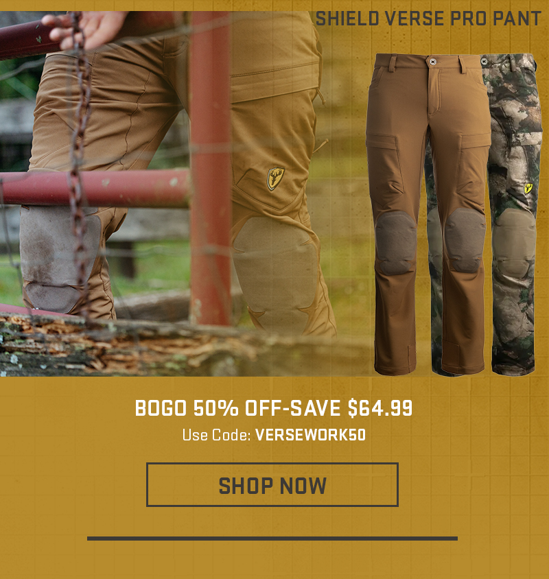 Save On Verse Pro 