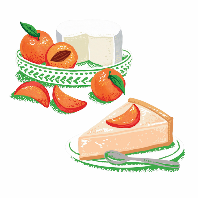 Fresh Brillat Savarin & Apricot Cheesecake Biscuits