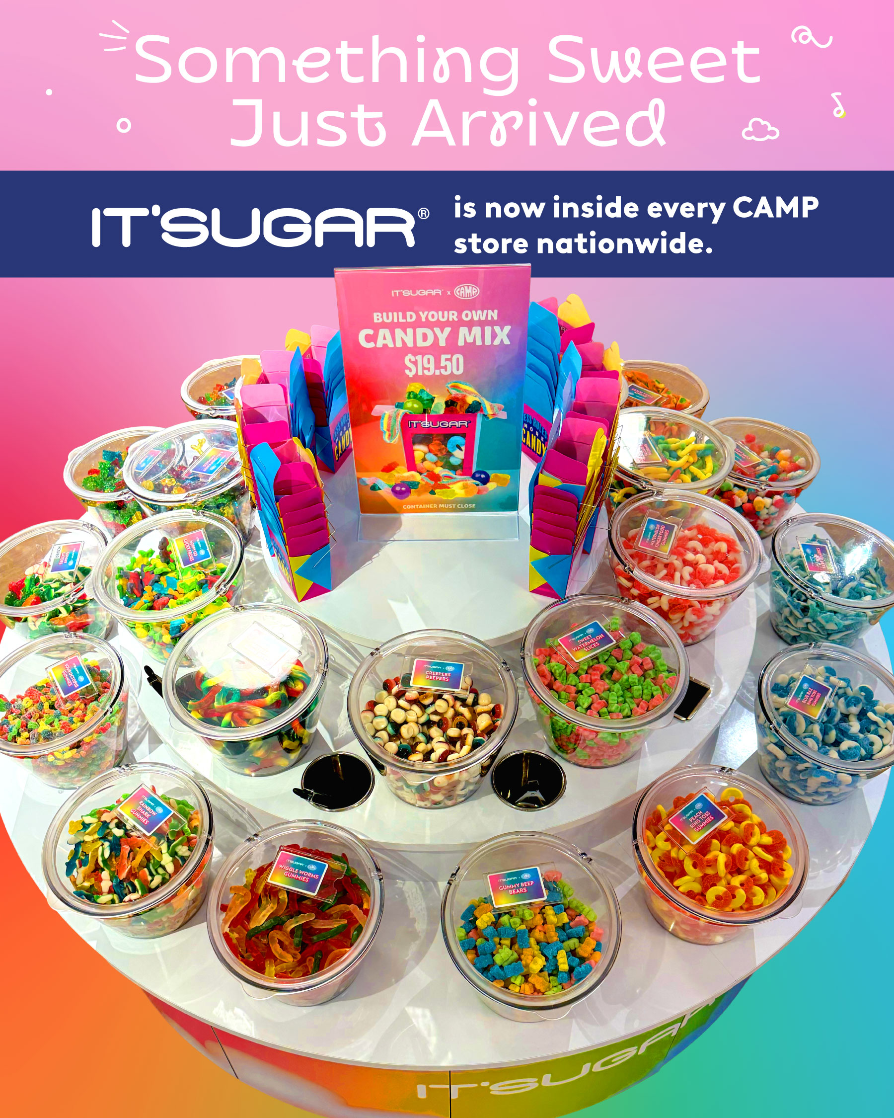 Something sweet arrived at CAMP: It'sugar!