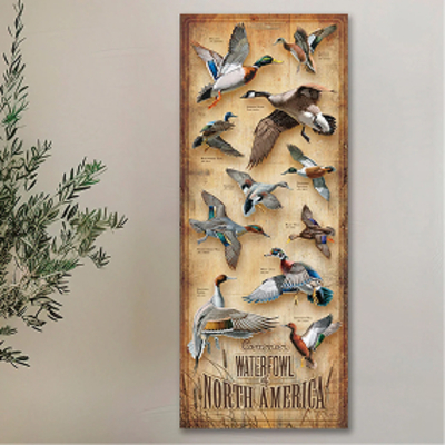 North American Waterfowl Wood Chart