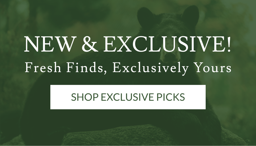 New & Exclusive! | Shop Exclusive Picks