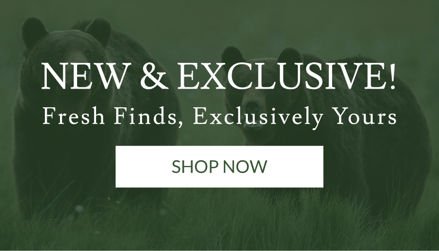 New & Exclusive! | Shop Now