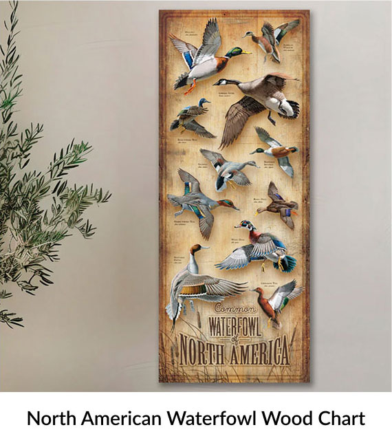 North American Waterfowl Wood Chart