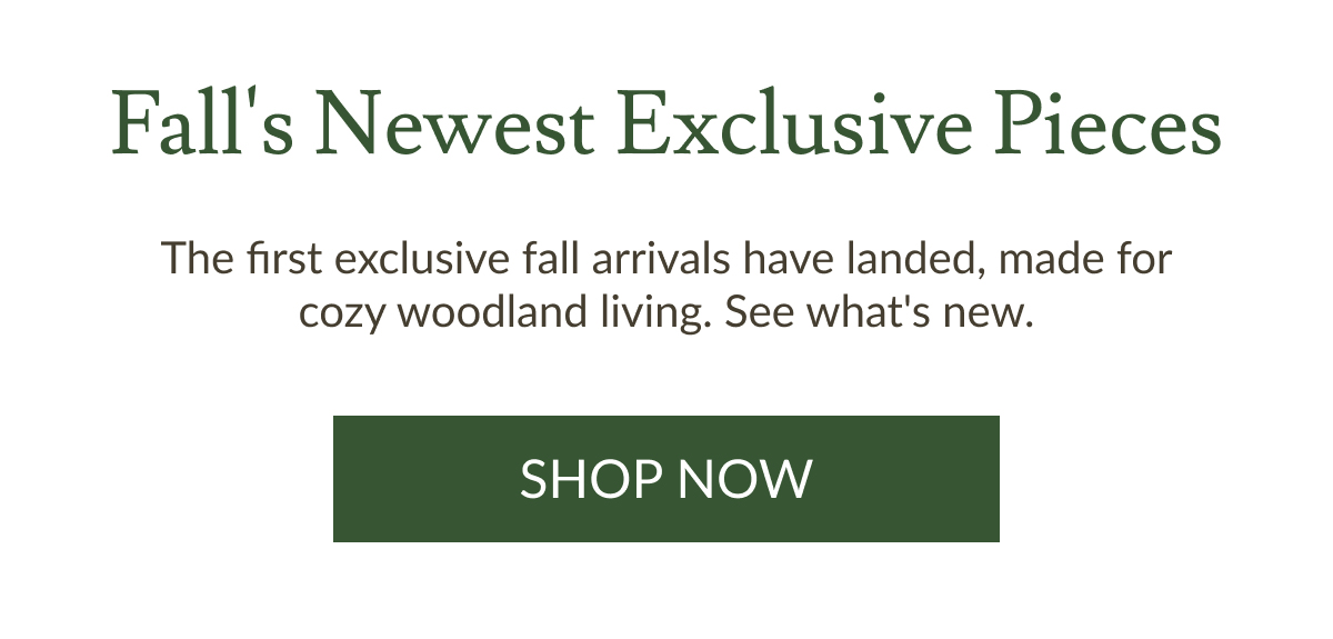 Fall's Newest Exclusive Pieces | Shop Now