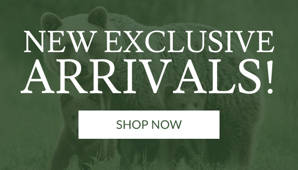 New Exclusive Arrivals! | Shop Now