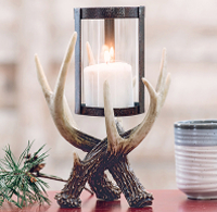 Antler Hurricane Candle Holder