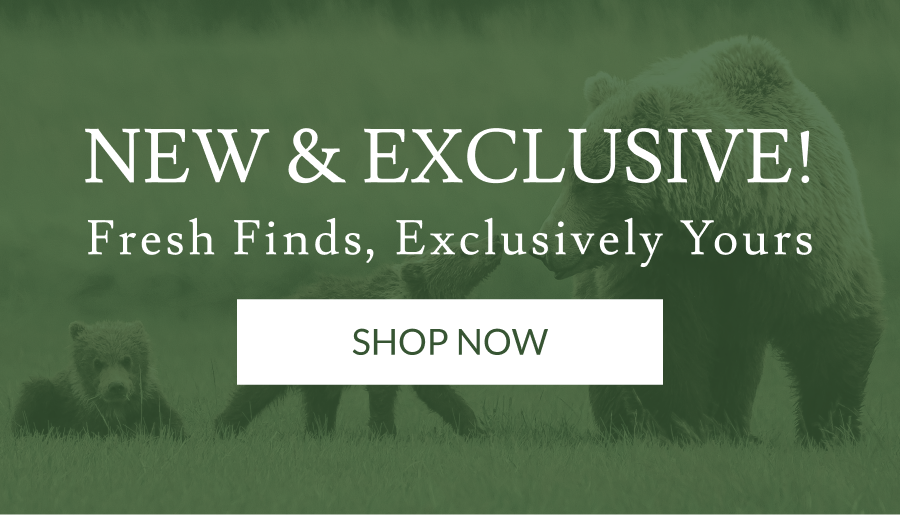 New & Exclusive! | Shop Now