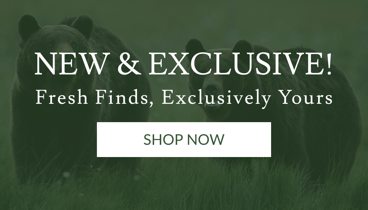New & Exclusive! | Shop Now