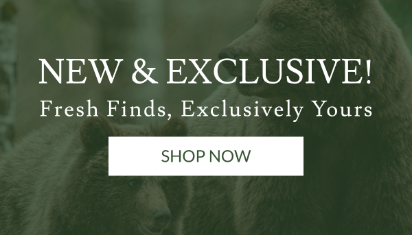 New & Exclusive! | Shop Now