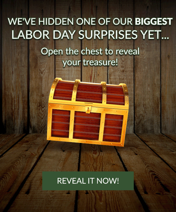 Open The Chest To Reveal Your Treasure!  | Reveal It Now