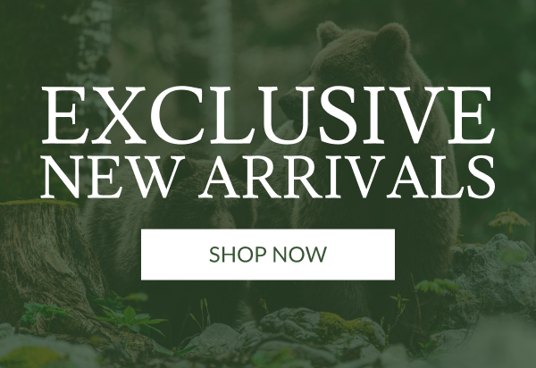 Exclusive New Arrivals | Shop Now