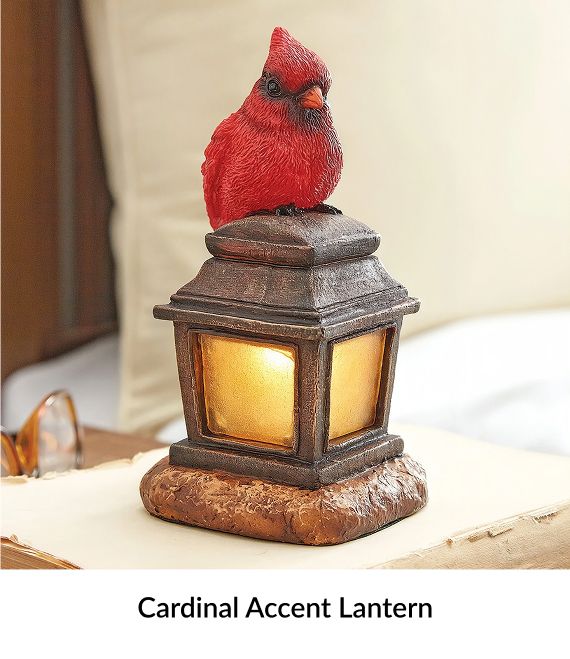 Cardinal Accent Lantern