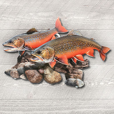Brook Trout Metal Wall Art