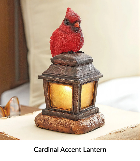 Cardinal Accent Lantern