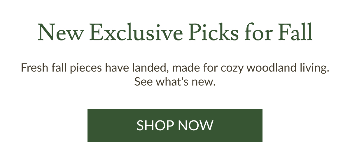 New Exclusive Picks for Fall | Shop Now
