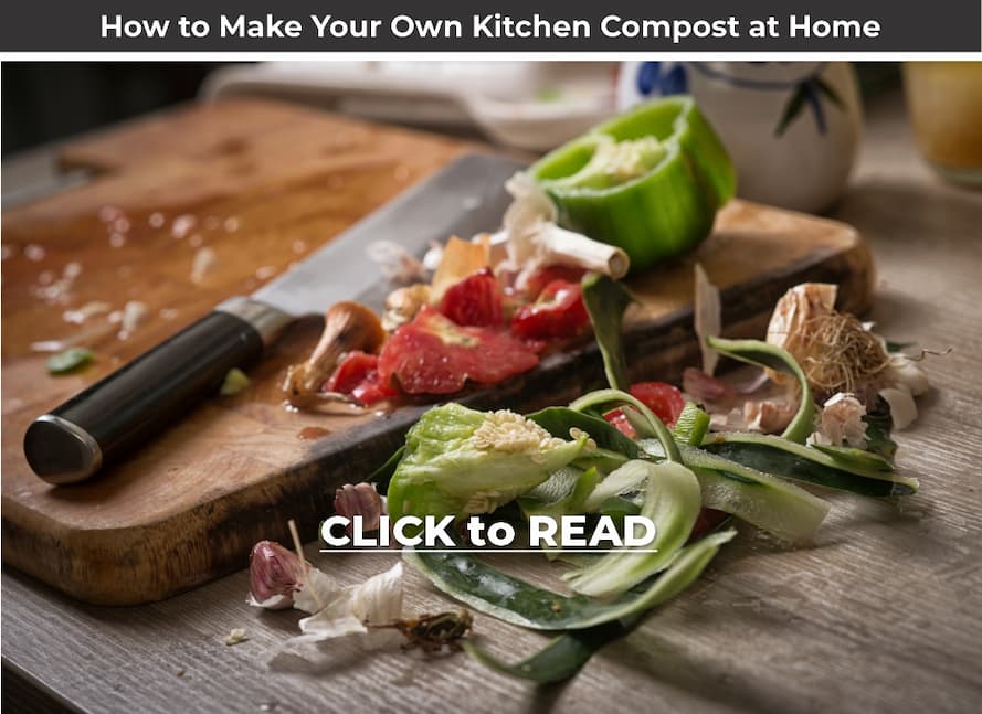 Lifestyle Feature: How to Make Your Own Kitchen Compost at Home