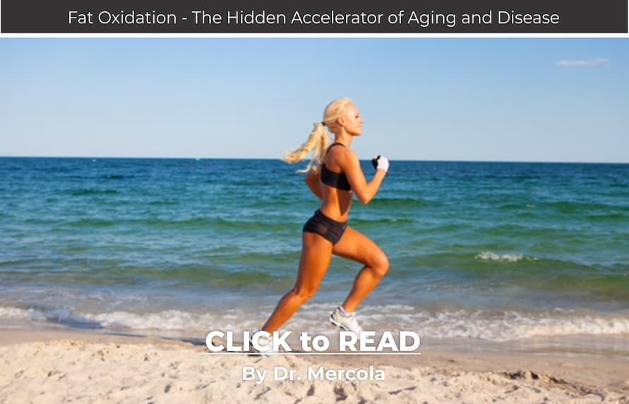Mercola, fat oxidation