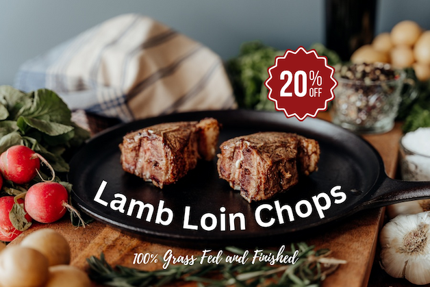 Lamb Loin Chops