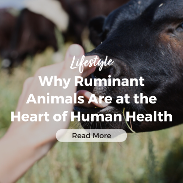 Animals and Human Health