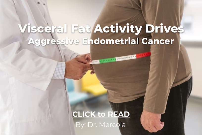 Mercola, Visceral Fat