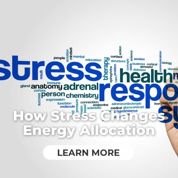 Stress and Energy