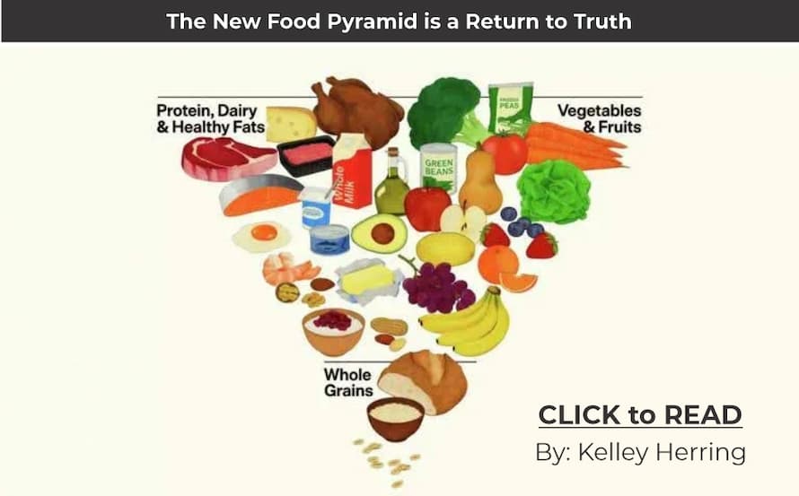 Kelley Herring, The new food pyramid