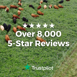 Over 8,000 5-Star Reviews