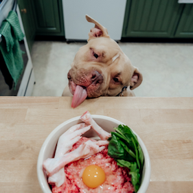 Pet Burger