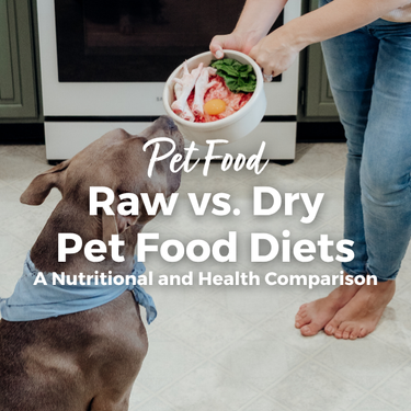 Pet Food: Raw vs Dry Pet Food Diets