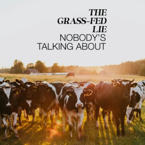 Jamie, @raisingwellnesswithjamie, grass-fed