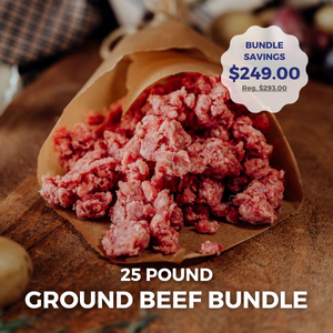 75% lean ground beef - 25 lb Bundle