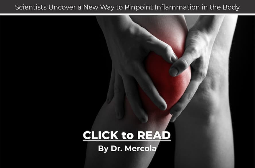 Mercola, chronic inflammation