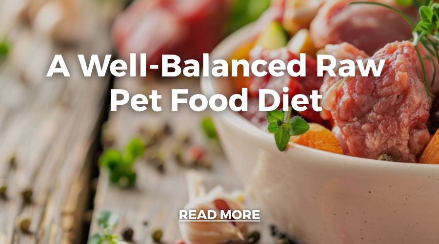 Pet Feature: Options for a Well-Balanced Raw Pet Food Diet