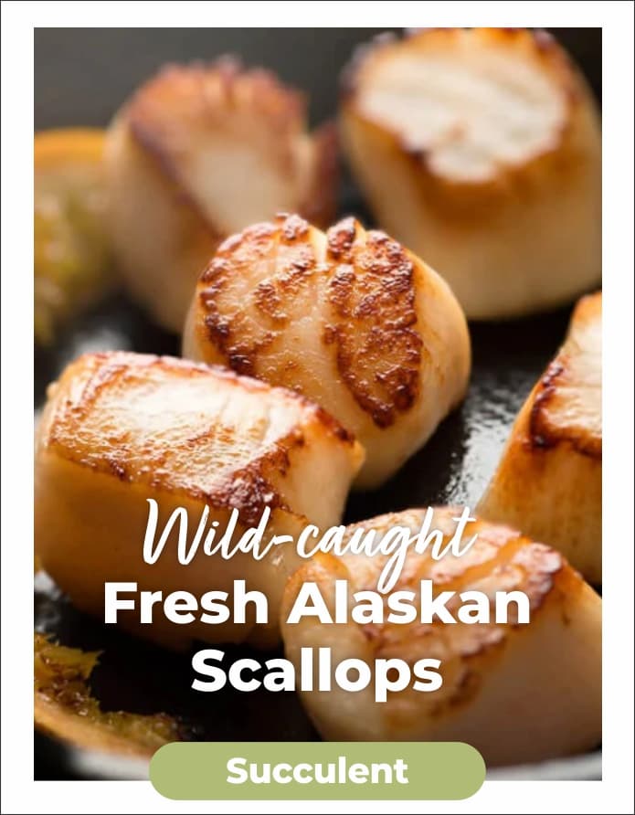 Scallops